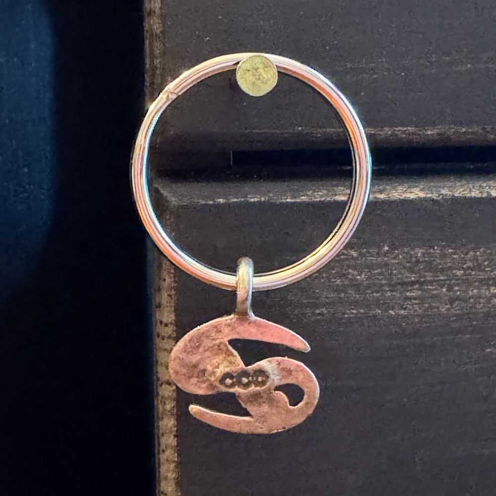 Birth Sign Key Ring - Picture 2 of 4